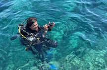 2-hour diving experience in the Bosa Gulf