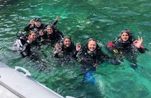 2-hour diving experience in the Bosa Gulf