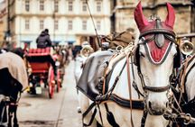 Vienna History Private Walking Tour with a Local Expert