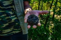 Truffle Hunting with Tasting in Gavi