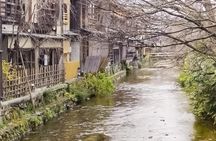 Kyoto Walking Tour and Shopping at Nishiki Market