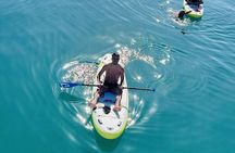 Boat Tour with Snorkeling, Waterslide, Activities, and Lunch
