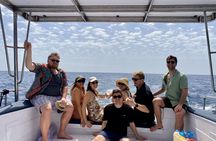 Boat Tour with Snorkeling, Waterslide, Activities, and Lunch