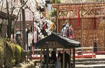 Tickets for Edo Wonderland Nikko Edomura Theme Park