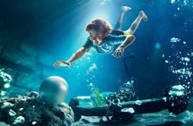 1-day 2 parks access to Yas Island Abu Dhabi