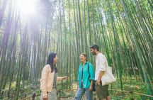 Kyoto Arashiyama insider walking tour