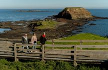 Phillip Island Penguin Parade and Churchill Island Farm Bus Tour