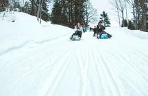 Winter Alpine Adventure with Lunch