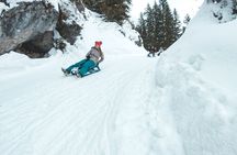 Winter Alpine Adventure with Lunch