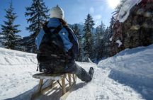 Winter Alpine Adventure with Lunch