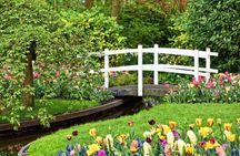 Tulip and Keukenhof Private Experience from Amsterdam