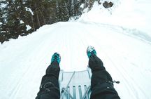 Night Sledding in the Alps from Interlaken
