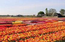 Tulip Experience, Keukenhof and Giethoorn Private Tour from Amsterdam