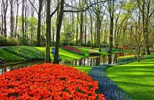 Private Sightseeing Tour to the Keukenhof, Windmills and Cheese Farm