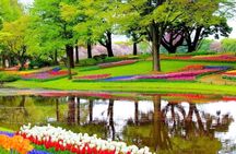Private Sightseeing Tour to the Keukenhof, Windmills and Cheese Farm