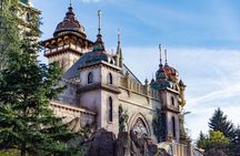 Private Day Trip to the Efteling Theme Park with Ticket from Amsterdam