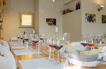Wine and Olive Oil Tasting at a Local Farm