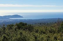 Wine tour in Bandol and Cassis from Marseille