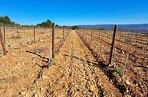 Wine tour in Bandol and Cassis from Marseille