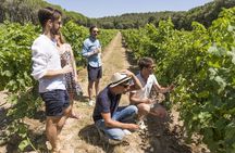 Provence discovery day tour from Aix en Provence