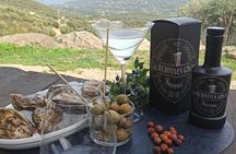 Visit a Myrtle Gin Laboratory with Tasting in Olbia