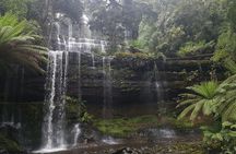 2-day Cradle Mountain Guided Tour from Hobart