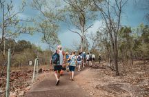 Litchfield National Park full day sightseeing tour in Darwin