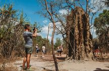 Litchfield National Park full day sightseeing tour in Darwin