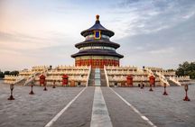 Private Guided Tour to Temple of Heaven, Panda House and Summer Palace