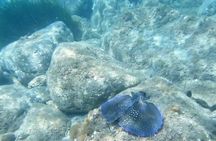 Snorkeling in Cala Gonone in the Orosei Gulf
