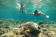 Snorkeling Tour from Gili Trawangan
