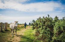 From Cardiff to Gower Mumbles, Three Cliffs, Worms Head