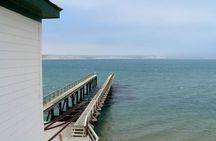Point Reyes National Seashore self-guided driving audio tour