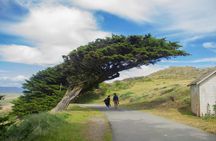 Point Reyes National Seashore self-guided driving audio tour