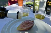 EVO oil tasting experience in Oristano with farm tour