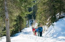 Winter Alpine Adventure with Lunch