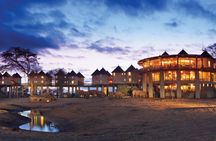 Ngutuni and Salt Lick two-day safari from Mombasa