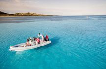 Half-Day Dinghy Tour in Asinara Gulf from Stintino