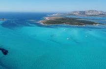 Half-Day Dinghy Tour in Asinara Gulf from Stintino