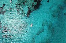 Half-Day Dinghy Tour in Asinara Gulf from Stintino