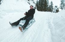 Night Sledding in the Alps from Interlaken