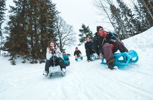 Night Sledding in the Alps from Interlaken