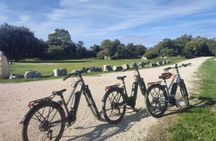 Full-Day E-Bike Tour in Luberon from Avignon