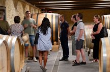 Full-Day Luberon and Chateauneuf-du-Pape Guided Wine Tour