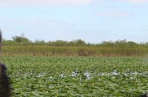 Everglades Tour from Miami