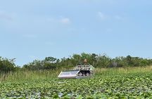Everglades Tour from Miami