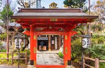 Haneda Airport One-way Private Transfer to or from Tokyo