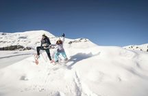 Snowshoe Tour in the Swiss Alps