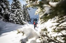 Snowshoe Tour in the Swiss Alps