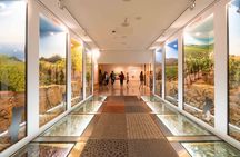 The Wine Experience Pack with Cellar Tour and Tasting at Taylor's
